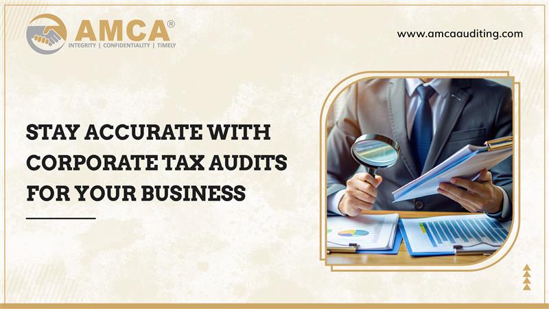 Why Do Corporate Tax Audits Matter?